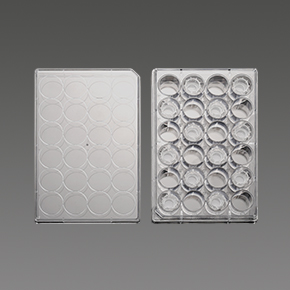 PC膜插入式培養(yǎng)皿,細(xì)胞小室,transwell