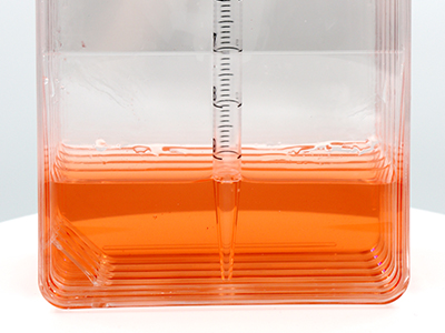 允許10mL移液管直接在瓶?jī)?nèi)進(jìn)行液體吸取或收取細(xì)胞