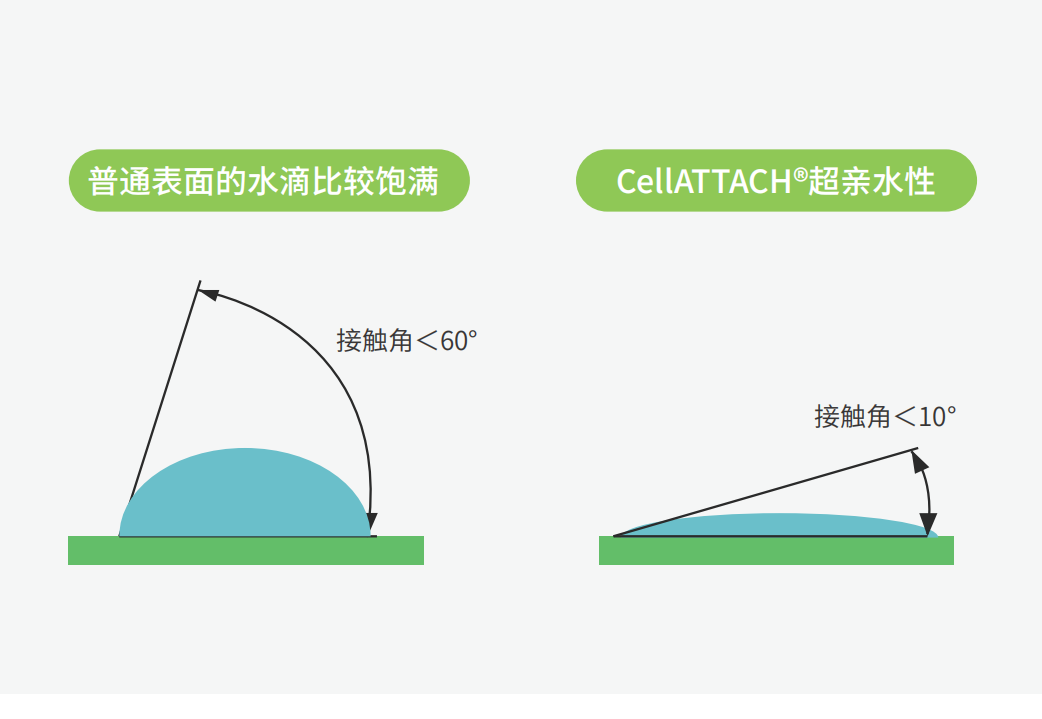 獨(dú)特的超親水表面處理技術(shù)，能為細(xì)胞提供更好的吸附性，促進(jìn)細(xì)胞快速貼壁生長，提高產(chǎn)量