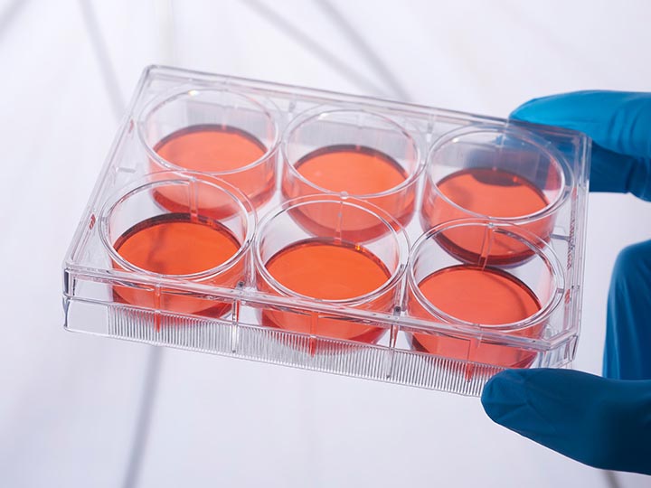 內(nèi)頁(yè)720×540 拷貝3.jpg