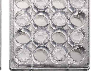 配有清晰的數(shù)字孔標(biāo)識，便于區(qū)分識別，方便記錄