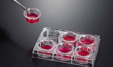 細(xì)胞嵌入皿常見(jiàn)問(wèn)題