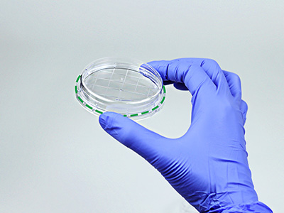 皿底抬高與邊緣持握設(shè)計(jì)， 方便握取與操作，穩(wěn)定疊放不易倒